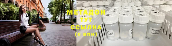 индика Порхов
