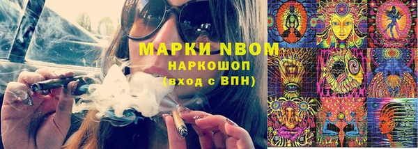 шишки Тутаев