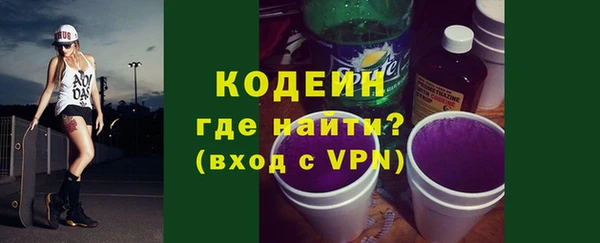 шишки Тутаев