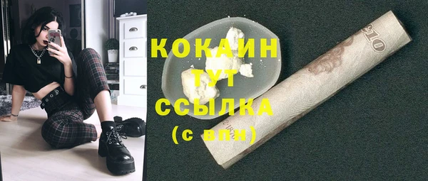 шишки Тутаев