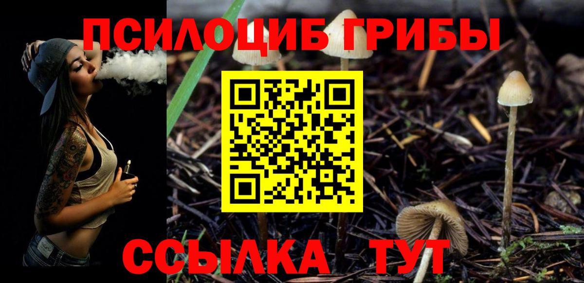 Галлюциногенные грибы прущие грибы  Вход с VPN  Черняховск  Псилоцибиновые грибы Cubensis 