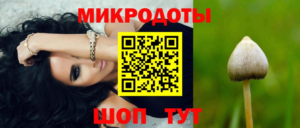 Псилоцибиновые грибы Psilocybe Черняховск